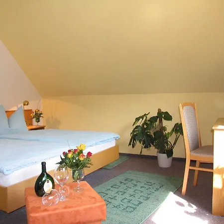 Penzion Gruner Baum - 3*