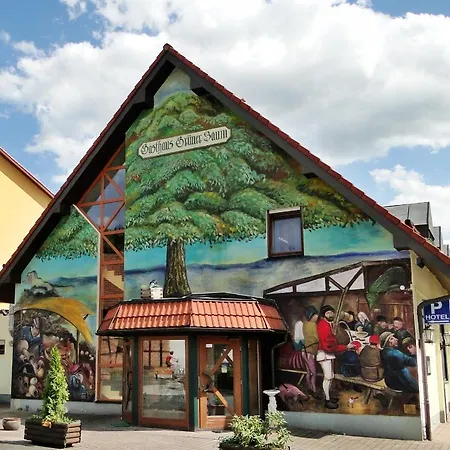 Penzion Gruner Baum - 3*